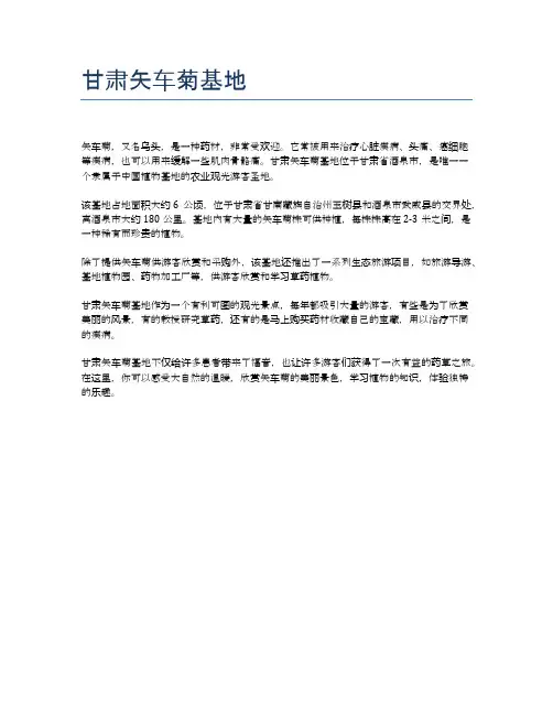 甘肃矢车菊基地