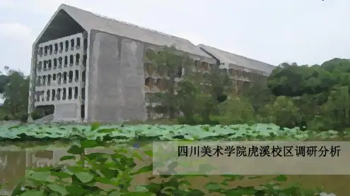 四川美术学院虎溪校区调研分析_2022年学习资料