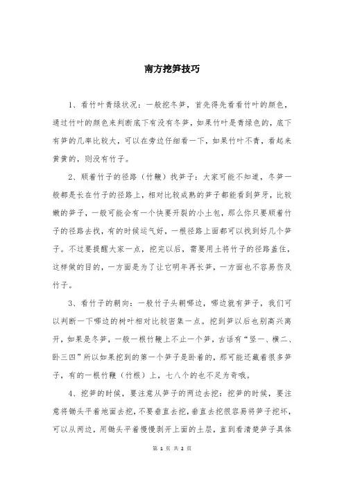 南方挖笋技巧
