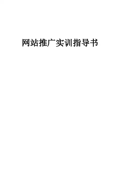 网站推广实训指导书