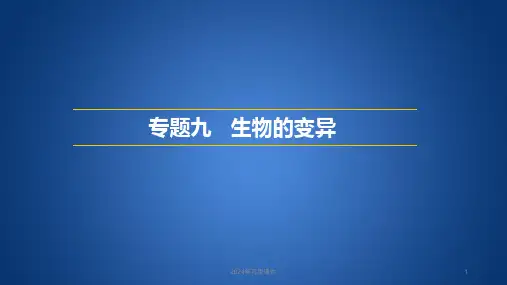 基因突变及其他变异学考复习课件(共22张PPT)