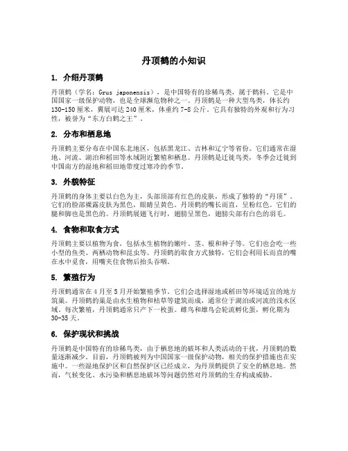 丹顶鹤的小知识