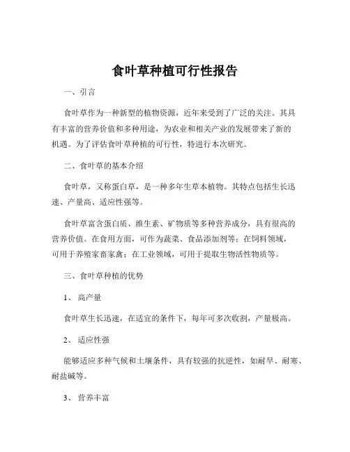 食叶草种植可行性报告