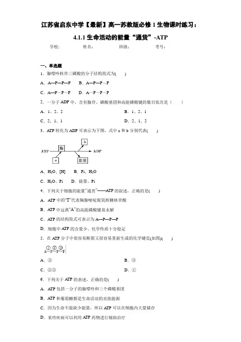 江苏省【最新】高一苏教版必修1生物课时练习：4.1.1生命活动的能量“通货”-ATP
