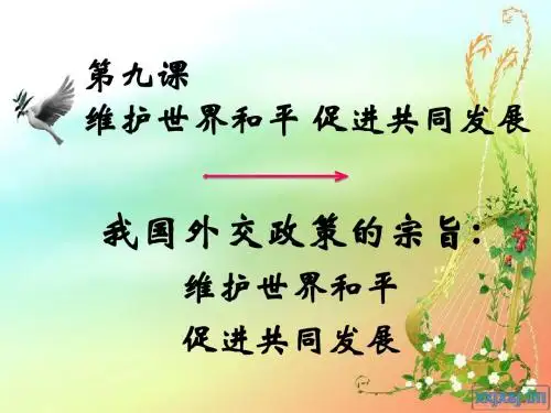 4.9.3我国外交政策的宗旨