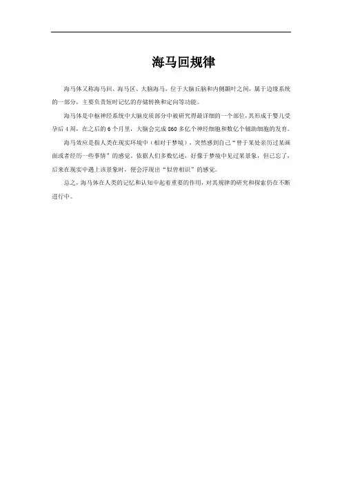 海马回规律