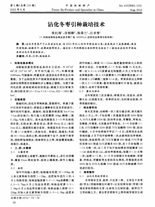 沾化冬枣引种栽培技术