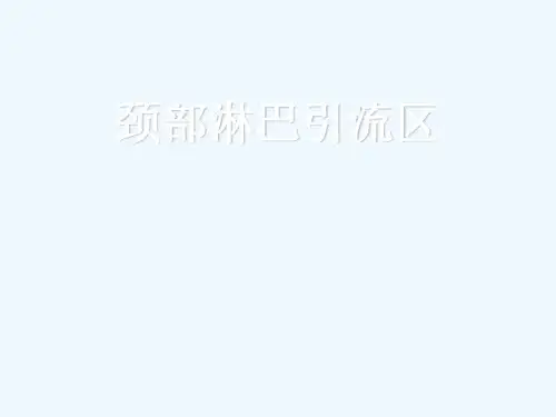 颈部淋巴引流区勾画