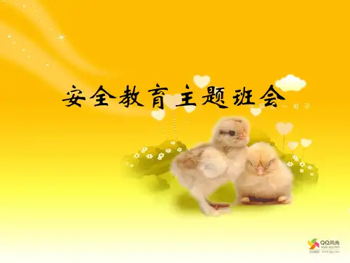 安全教育班会《安全教育主题班会》PPT课件