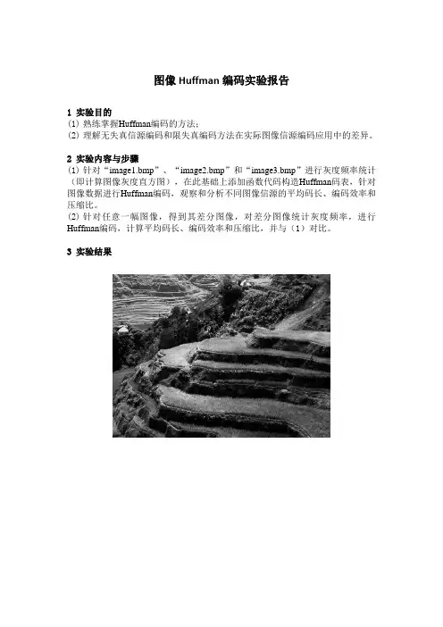Huffman编码实验报告