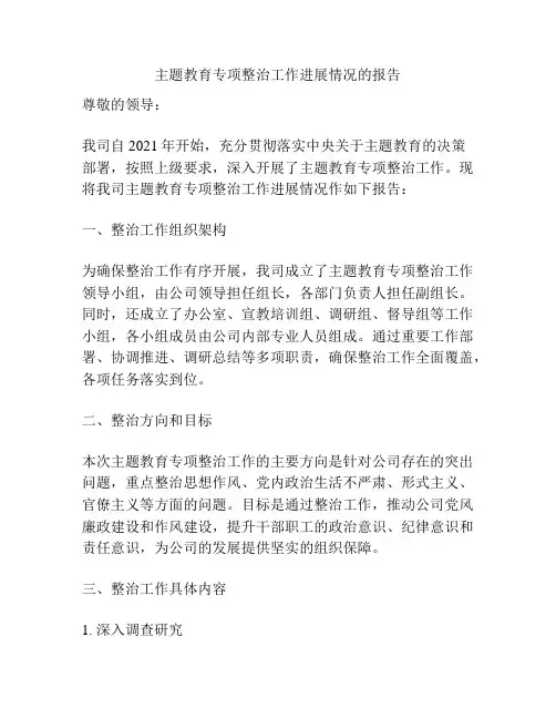 主题教育专项整治工作进展情况的报告