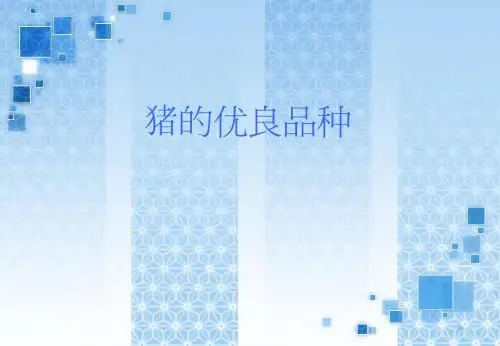 猪的优良品种