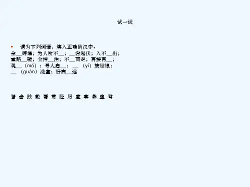 汉字应用水平等级测试测前辅导(学生版)