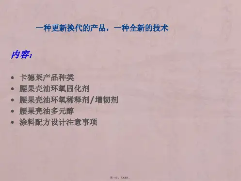腰果壳油改性胺技术和应用讲座(更新版)