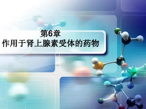 药理学第6章 作用于肾上腺素受体的药物
