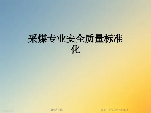 采煤专业安全质量标准化