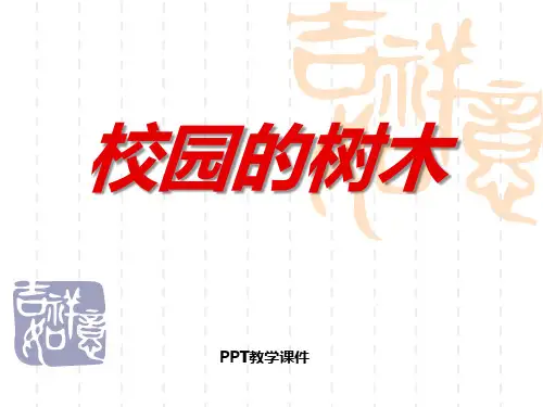 科学三年级上教科版1.2校园的树木PPT课件