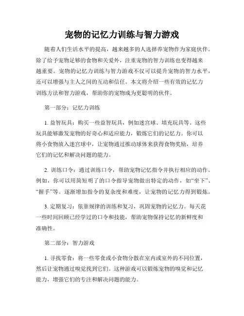 宠物的记忆力训练与智力游戏