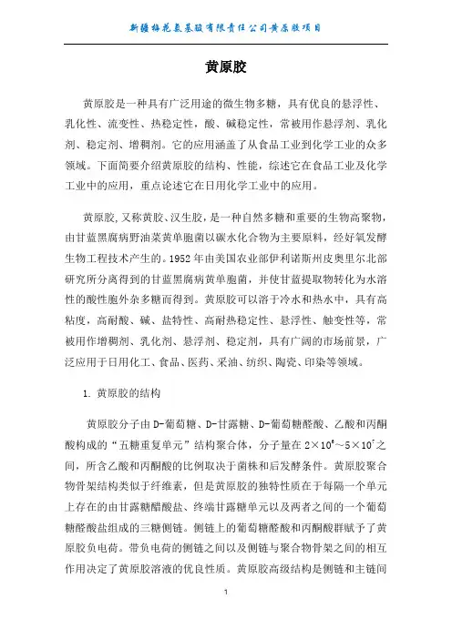 提取工艺操作指导书..