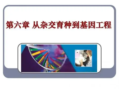 几种育种方法的比较