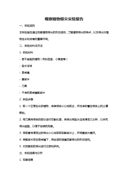 观察植物根尖实验报告