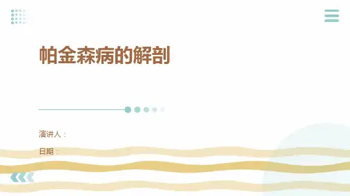帕金森病的解剖