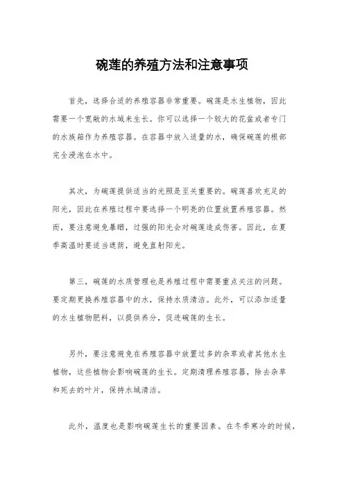 碗莲的养殖方法和注意事项