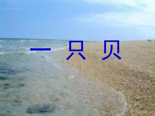京改%5D九年级语文(上)《一只贝》课件(29张PPT)