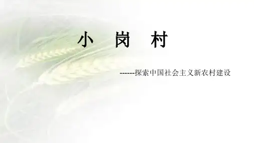 15中文3小岗村社会实践