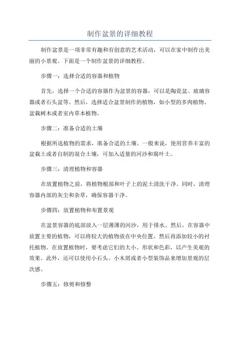 制作盆景的详细教程