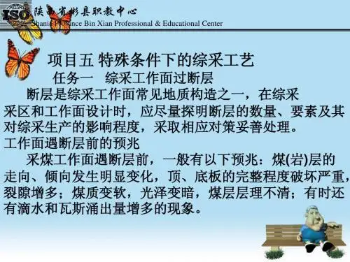 项目五特殊条件下的综采工艺.ppt