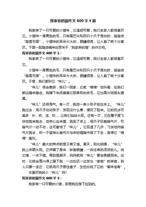 我家养的猫作文600字4篇