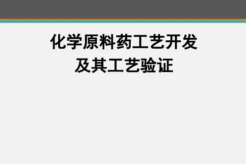化学原料药合成工艺开发及其工艺验证  ppt课件