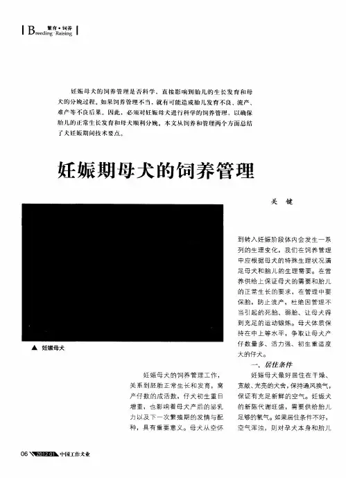 妊娠期母犬的饲养管理