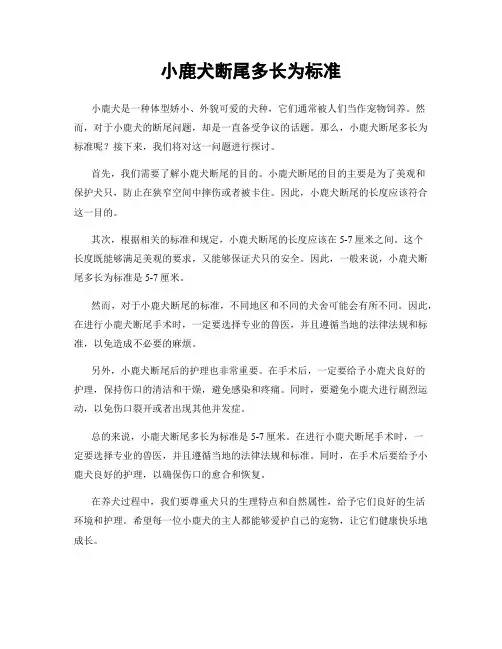 小鹿犬断尾多长为标准
