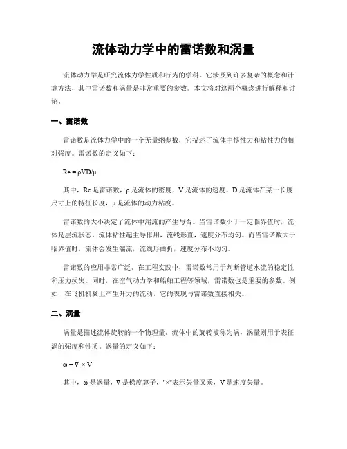 流体动力学中的雷诺数和涡量