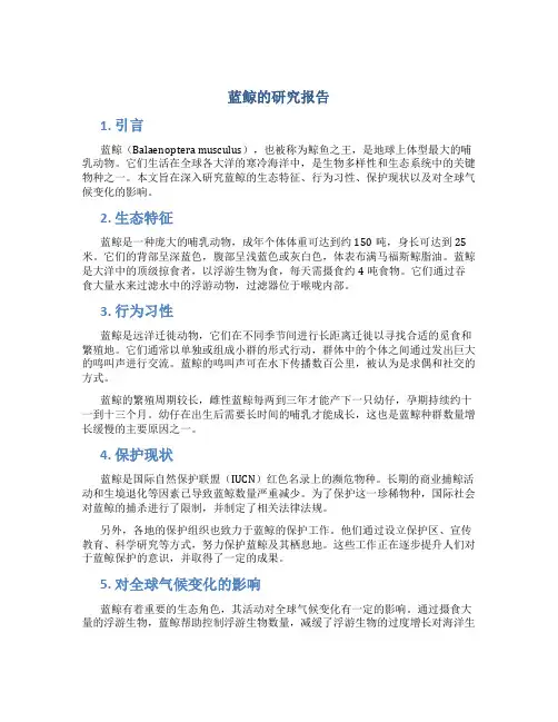 蓝鲸的研究报告