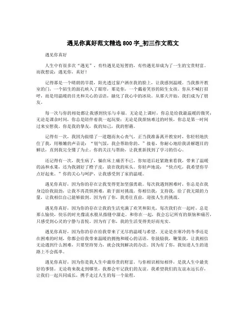 遇见你真好范文精选800字_初三作文范文