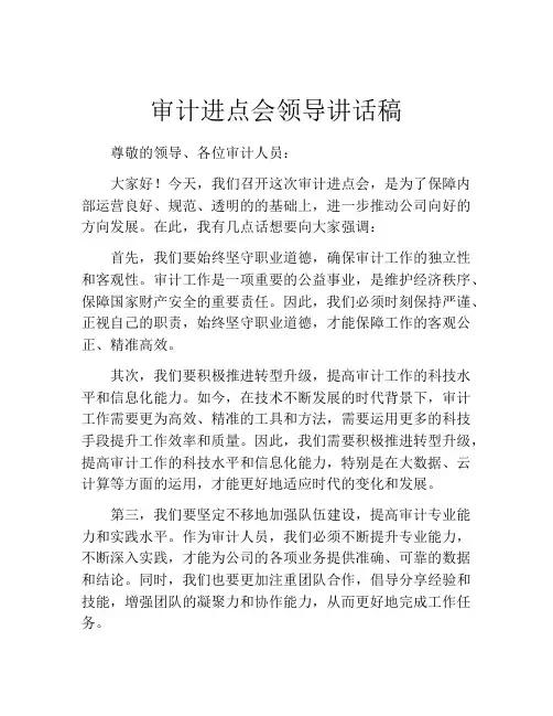 审计进点会领导讲话稿