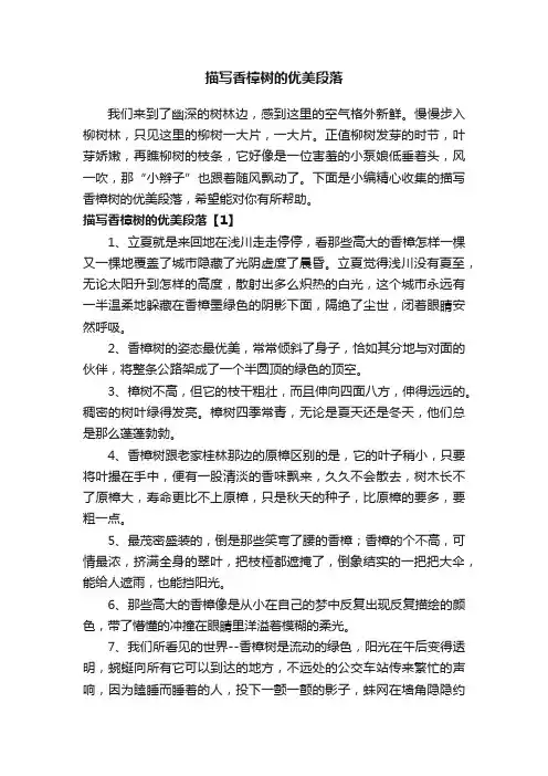 描写香樟树的优美段落