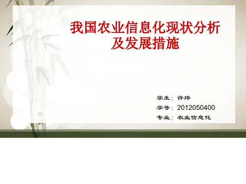 我国农业信息化现状分析及发展措施(ppt 38页)