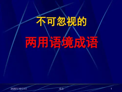 不可忽视的两用语境成语概要PPT课件