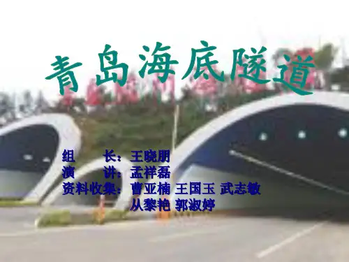 土木工程--隧道工程.