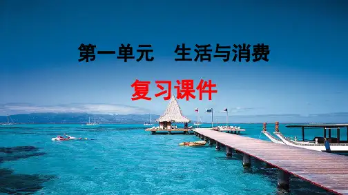 高中思想政治第一课 神奇的货币优秀课件