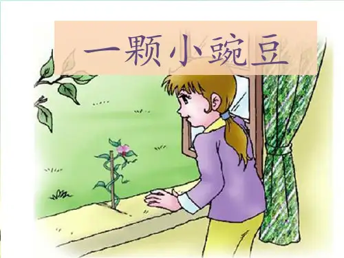 《一颗小豌豆》1精品PPT课件