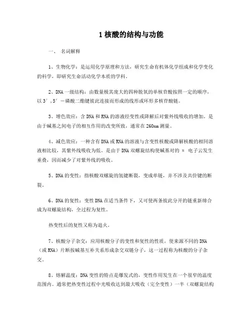 1核酸的结构与功能(答案)
