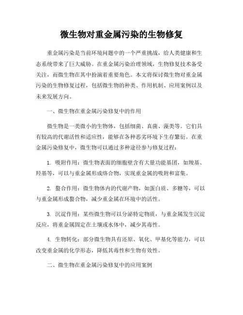 微生物对重金属污染的生物修复