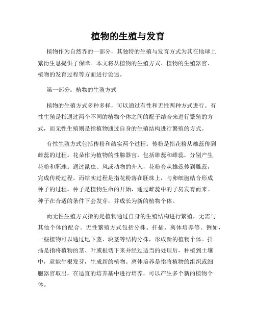 植物的生殖与发育
