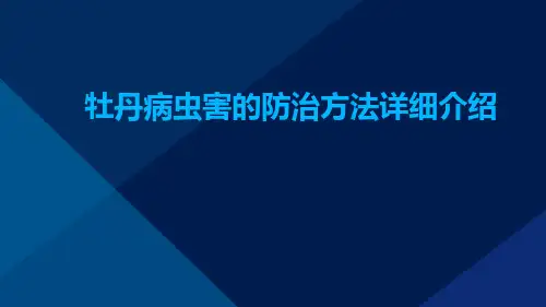 牡丹病虫害的防治方法详细介绍