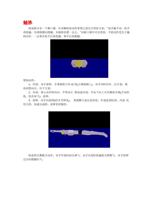 蛙泳、自由泳、仰泳、蝶泳,图解动画,教你游泳,不会游的看了包你学会!!!